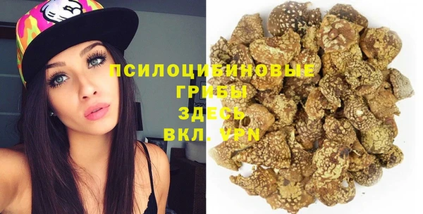 МДПВ Ельня