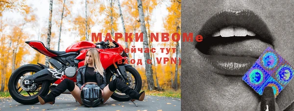 СК Елабуга