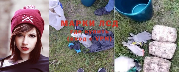 СК Елабуга
