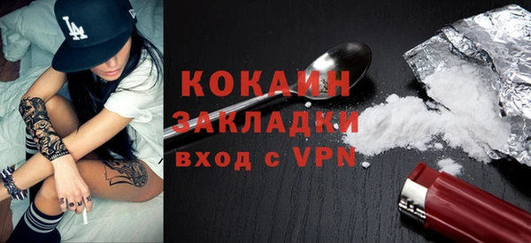 МДПВ Ельня