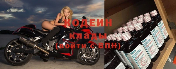 МДПВ Ельня