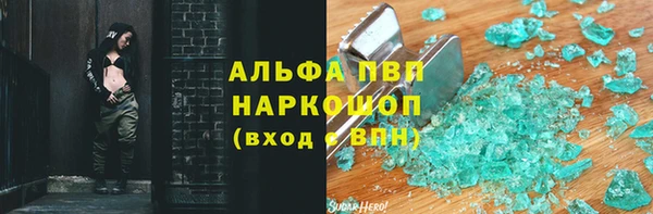 МДПВ Ельня
