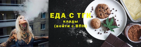 МДПВ Ельня