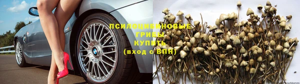 дурь Покровск