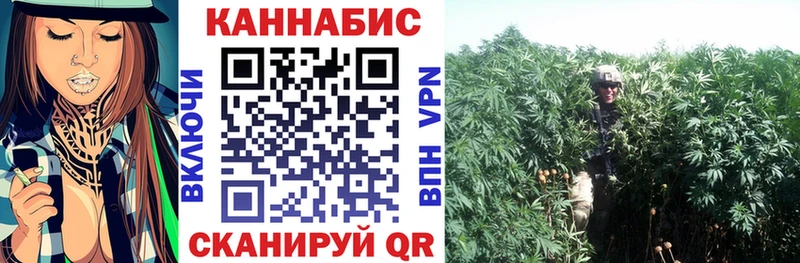 Бошки Шишки VHQ  Приозерск 